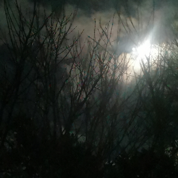 Meet your Posher, Janus - Picture 1 of 1